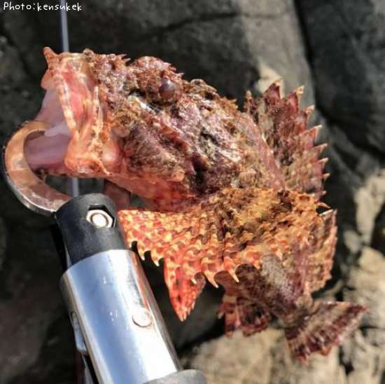 ������