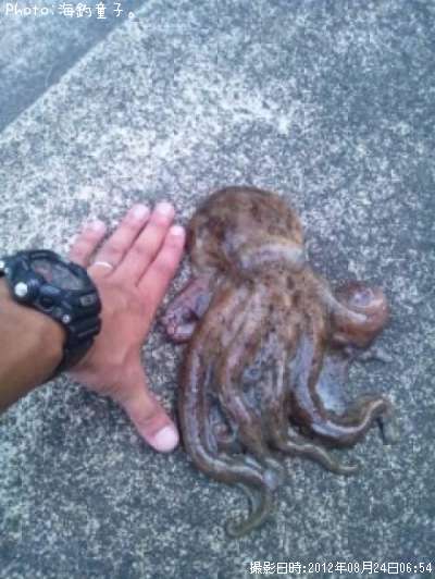 �����ȥѥ�