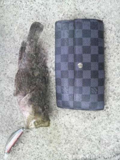 ���˥���ޥ�����