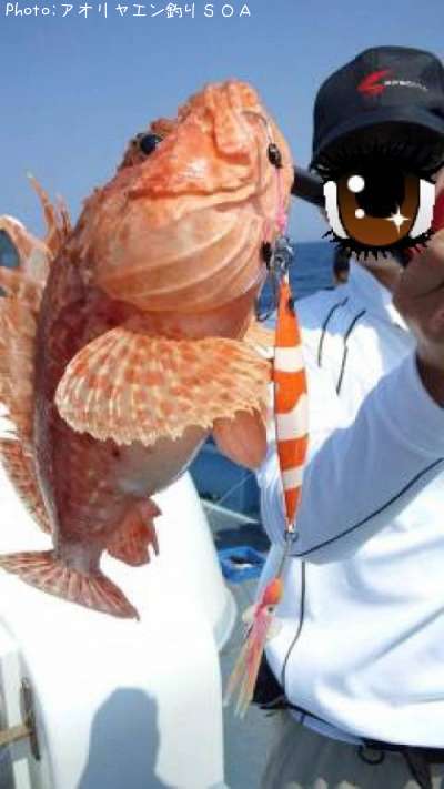 ���˥�����