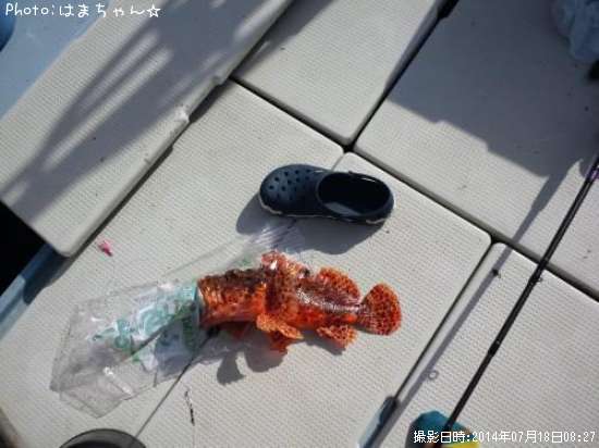 ���˥�����