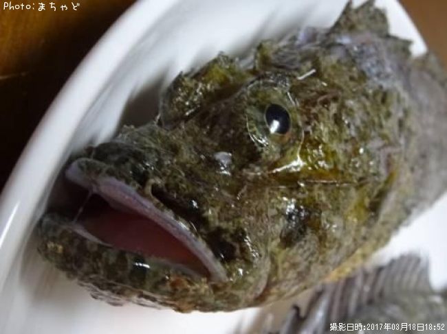 ���˥�����