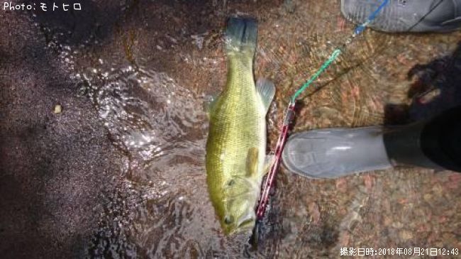 ���������Х�