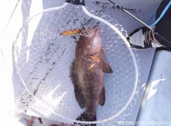 �������ϥ�