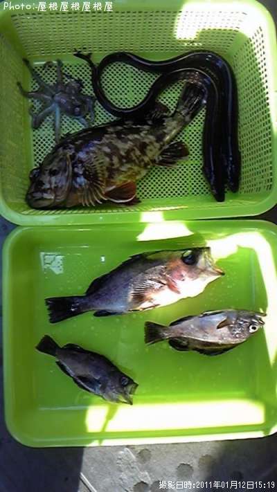 ���������罸��ʾС�