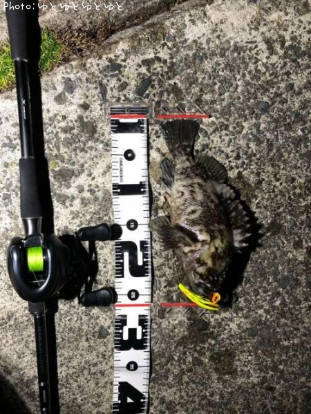 ���������饽��