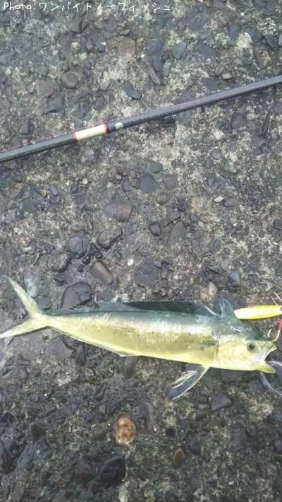 �ڥ�ڥ󥷥���