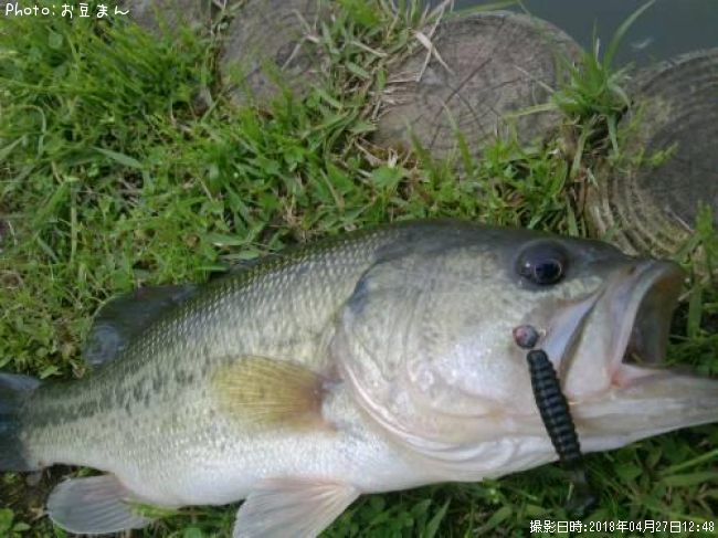 �顼���ޥ���