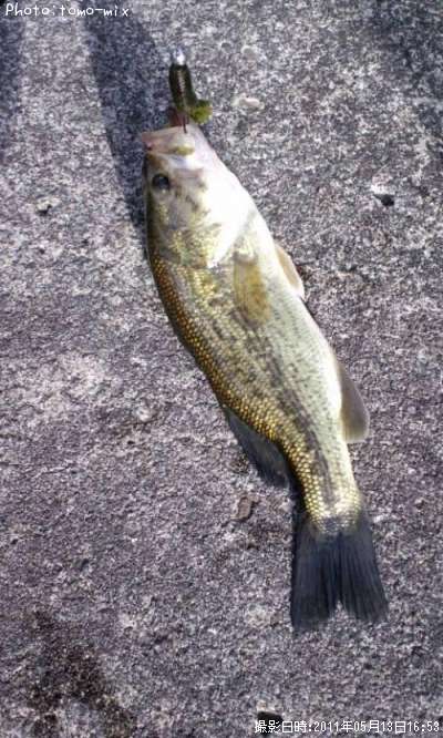 �顼���ޥ����Х�