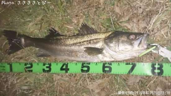 ��󥫡������Х�