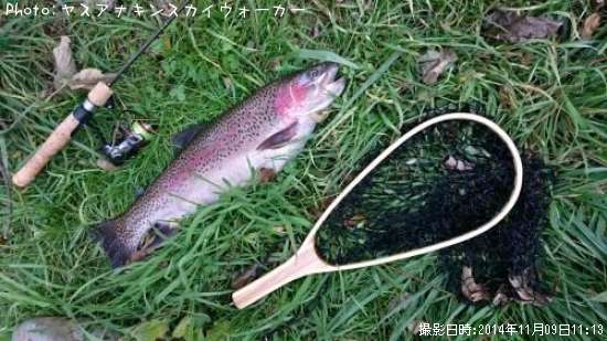 �쥤��ܡ��ȥ饦��