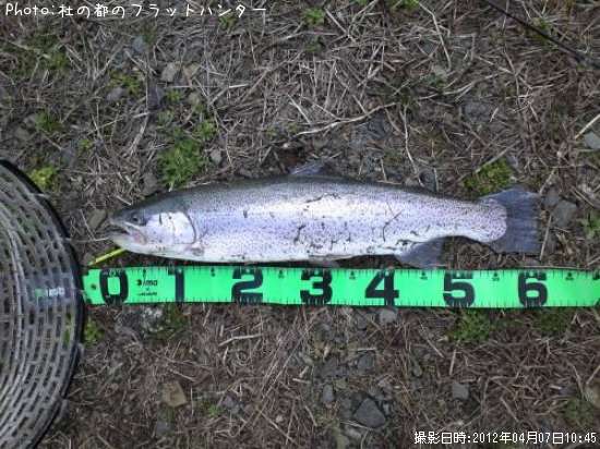 �쥤��ܡ��ȥ饦��