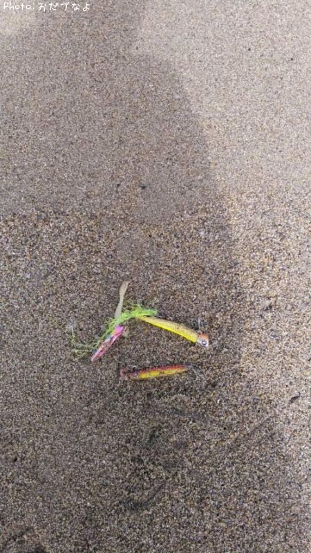 ���������碌