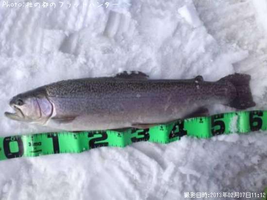 ���å��ȥ饦��