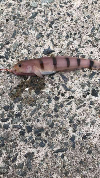 ��奦�����ϥ�