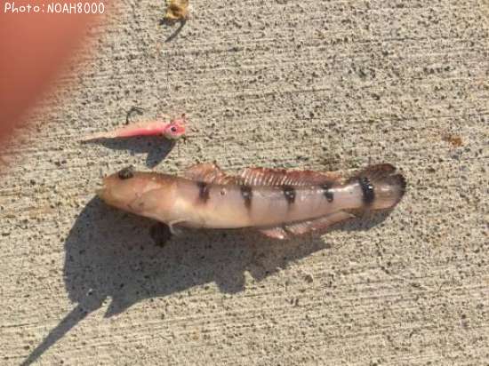 ��奦�����ϥ�