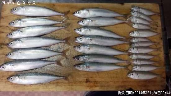 ���С�����