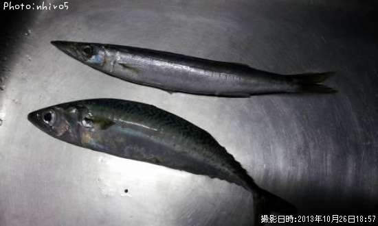 ���С����ޤ�