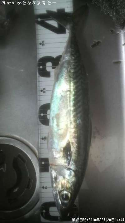 ���С�����å�������