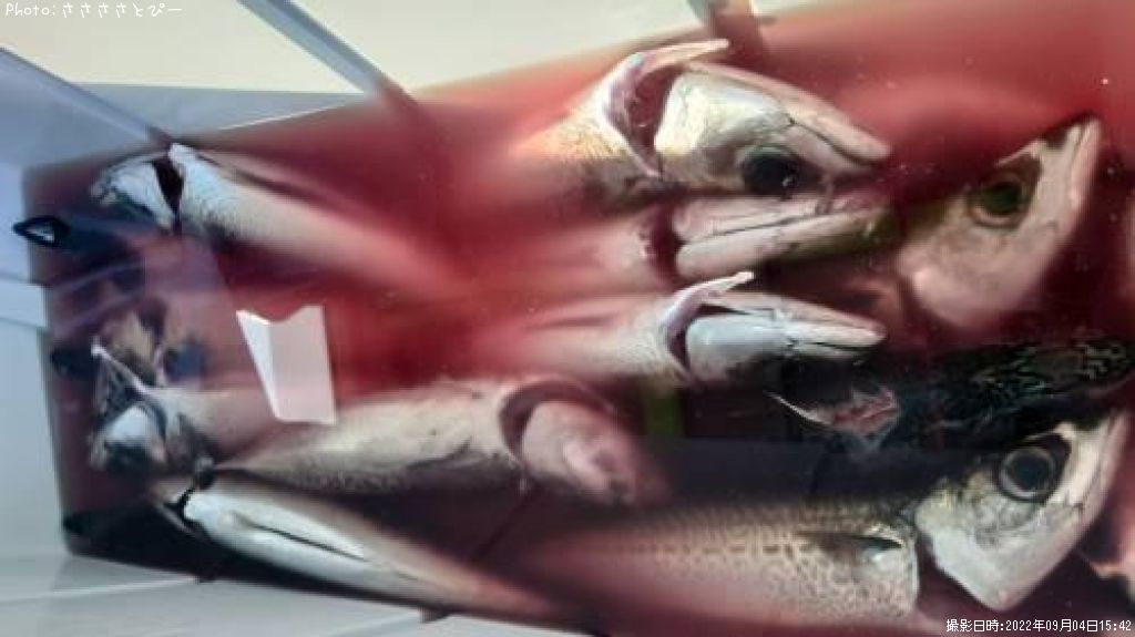 ���С����������ĥ�