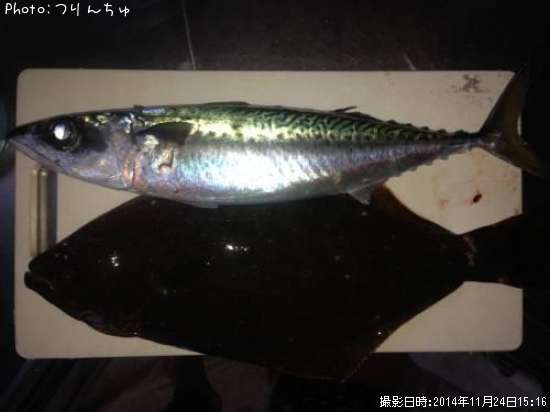 ���Фȥҥ��