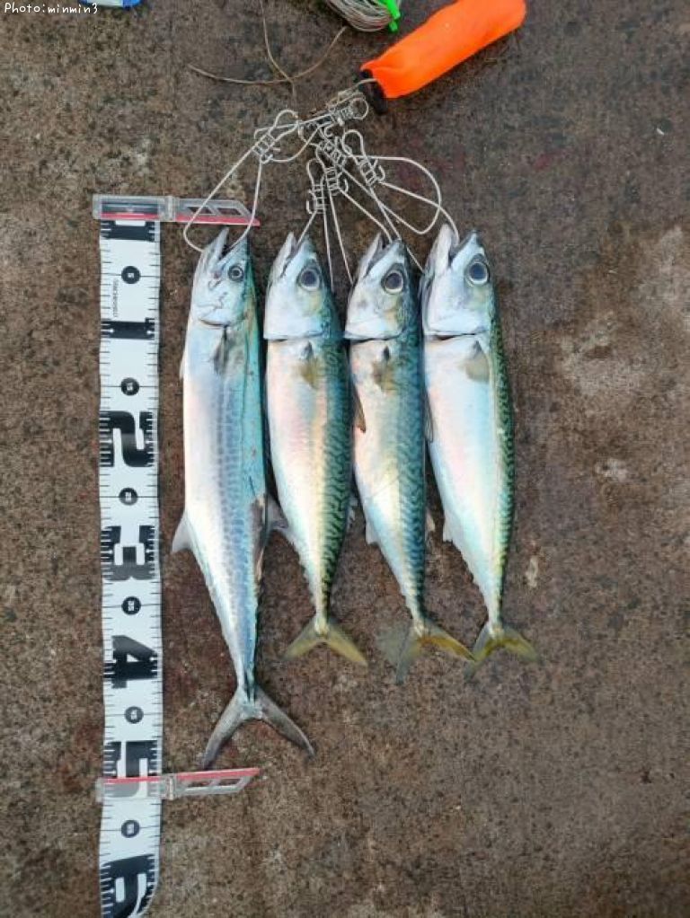 ���Фȥ�����