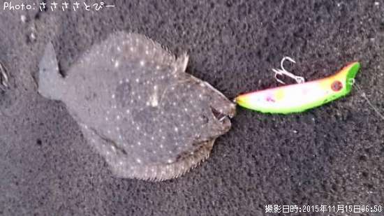 ��������������ҥ��