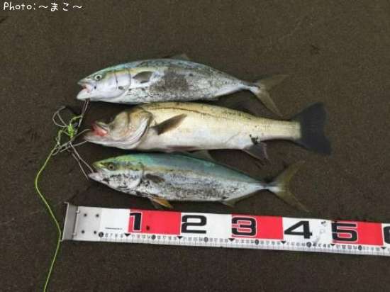 �����ե����Х������ʥ�