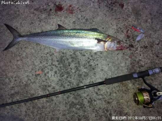 �����å���