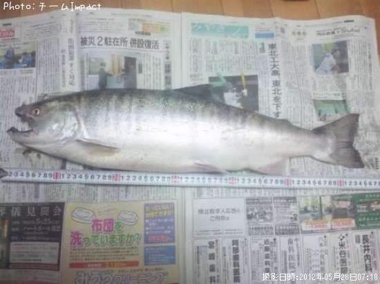 ������ޥ�