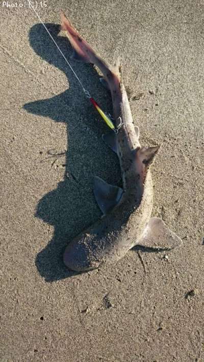 ���ᡢ�ե�