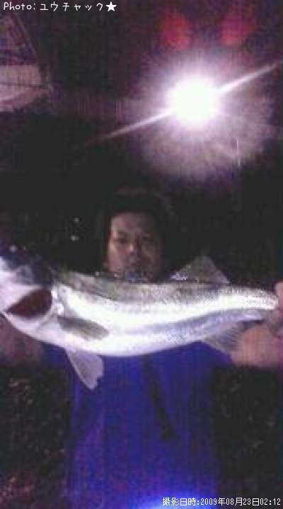 ���ڤ���