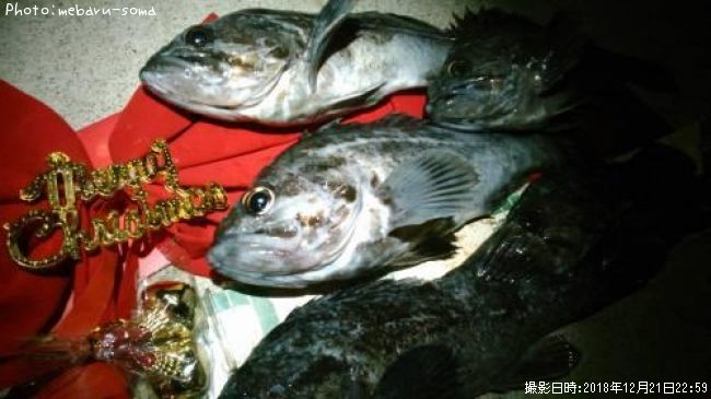 ���󥿥�������