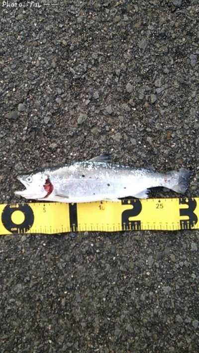 ���ĥ��ޥ�