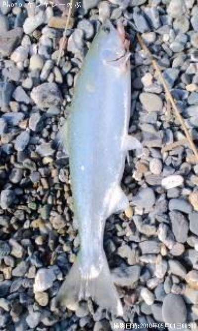 ���ĥ��ޥ�