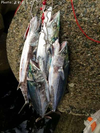 ����顢������