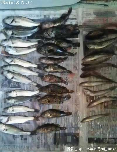 �������������������������ϥ����������ʥ�