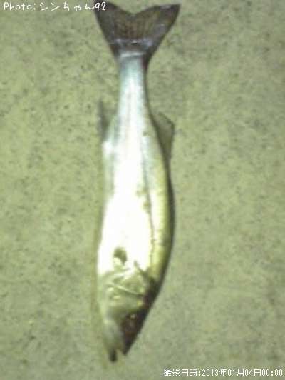 �����������ӥ�