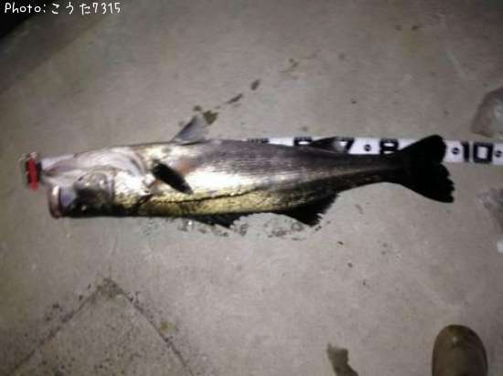 �����Х�