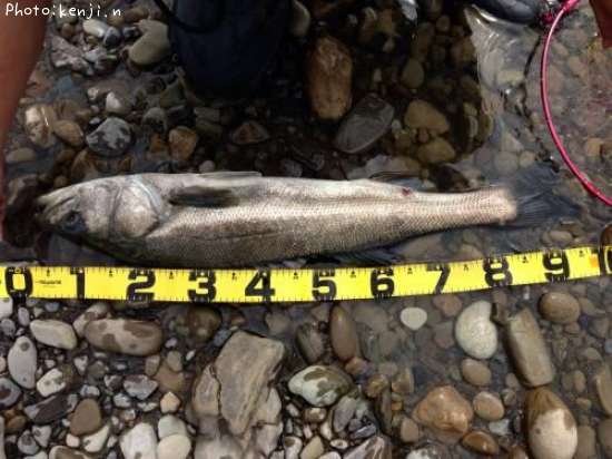 �����Х�