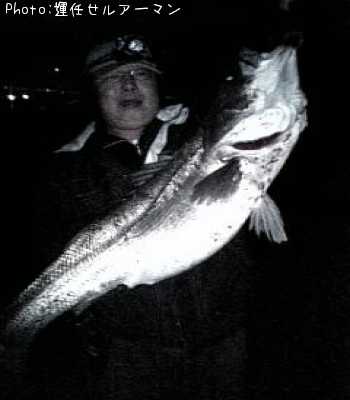 �����Х�