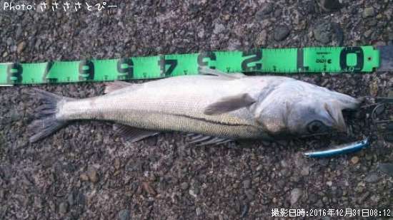 �����Х����٥���