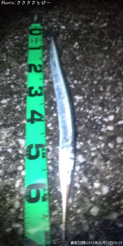 �����Х�������