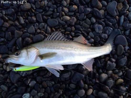 �����Х��ʥեå���