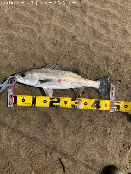 �����Х��ʥեå���