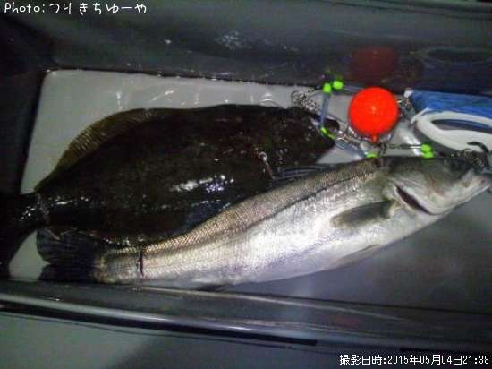 �����Х����ҥ��