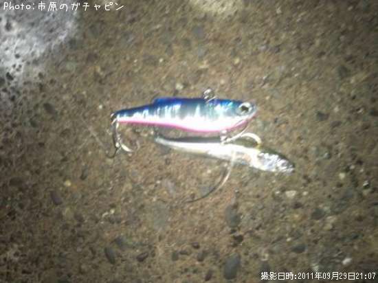 �����Х�����ʤ��ʡ䡲���