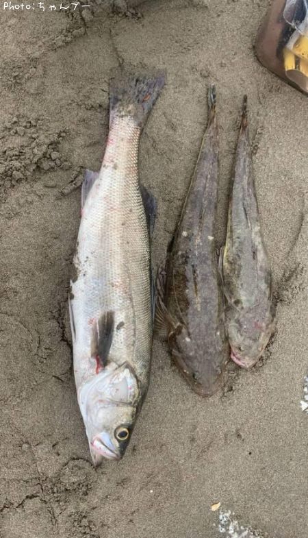 �����Х����ޥ���