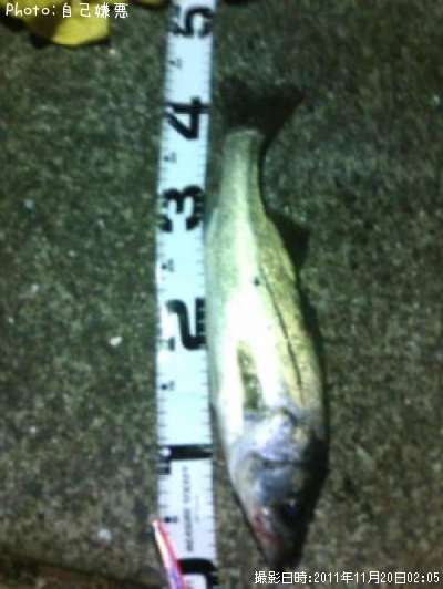 �����Х����ʡ������˥�