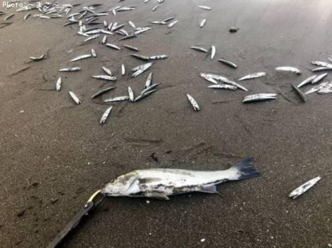 �����Х�������